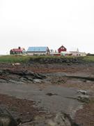 Img 9589