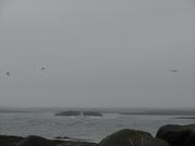 Img 9593