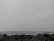 Img 9594