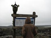 Img 9611
