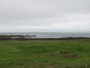 Img 9618