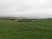 Img 9619