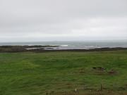 Img 9620