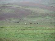 Img 9634