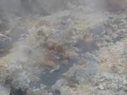 Img 9643