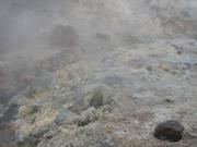 Img 9644
