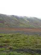 Img 9656