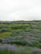 Img 9666