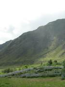 Img 9688