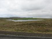 Img 9692