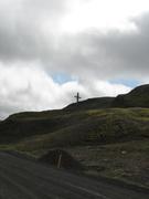 Img 9696