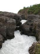 Img 9775