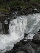 Img 9785