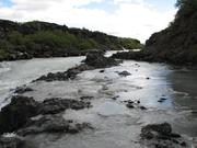 Img 9786