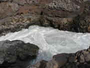 Img 9788