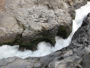 Img 9790