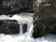 Img 9821