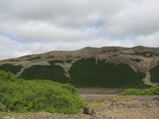 Img 9826