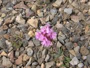 Img 9827