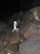 Img 9848
