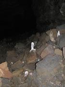 Img 9849