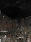 Img 9850