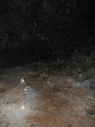 Img 9854