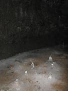 Img 9855