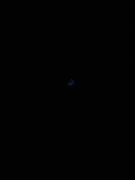 Img 9856