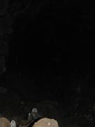 Img 9858