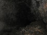 Img 9859