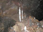 Img 9862