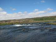 Img 9881