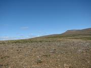 Img 9889