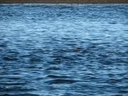 Img 9961