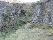 Img 9974