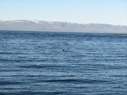 Img 9977