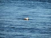 Img 9980