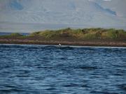 Img 9983