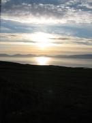 Img 9995