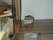 Dscn0027