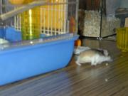 Dscn0035