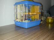 Dscn0037